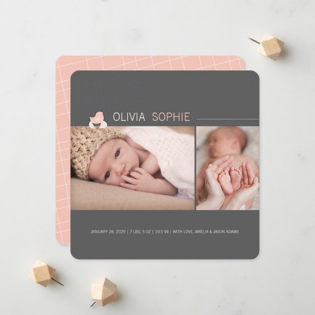 Anúncio de nascimento de Pintinho de Ovo Chateado (Frente/Verso In Situ)