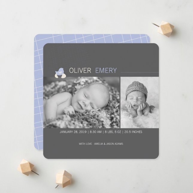 Anúncio de nascimento de Pintinho de Ovo Inchado (Frente/Verso In Situ)