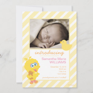 Anúncio de Nascimento do Big Bird