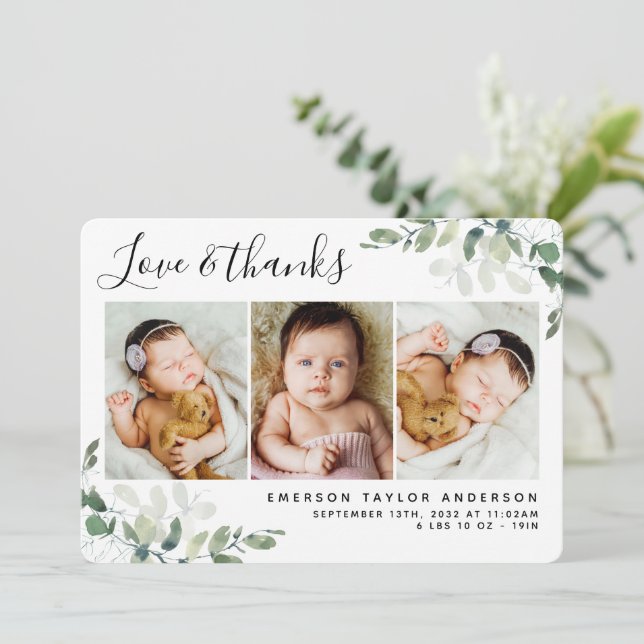 Anúncio de nascimento do Eucalyptus Photo Love & O (Em pé/Frente)