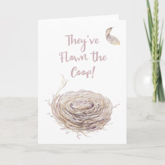 Anúncio de ninho vazio