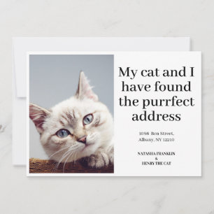 Anúncio de Nova Morada com Foto de Gato de Estimaç