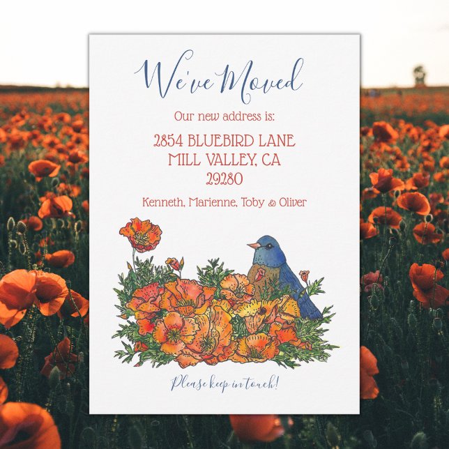 Anúncio de novo endereço do Bluebird (Bluebird moving new address announcement cards.)