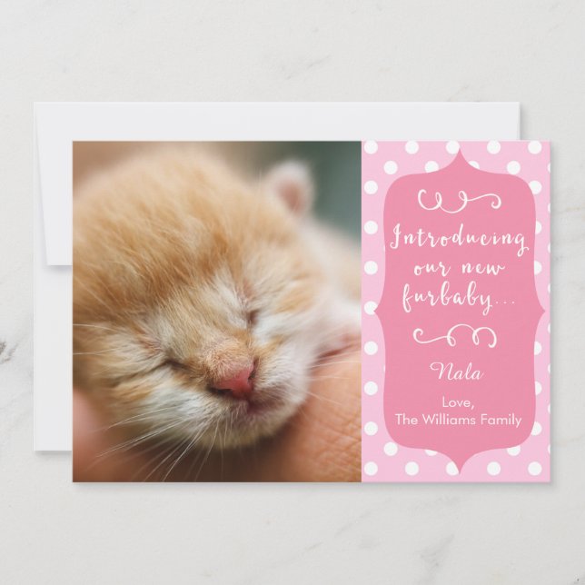 Anúncio de Novo Furbaby cor-de-rosa (Frente)