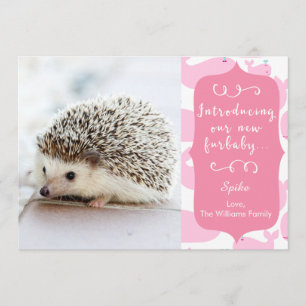 Anúncio de Novo Furbaby cor-de-rosa