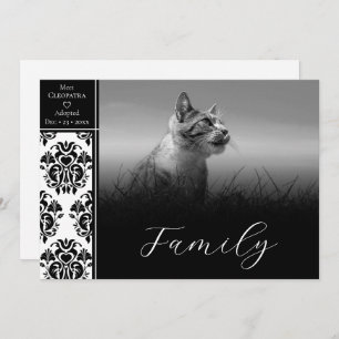 Anúncio de Pet de Damasco Preto e Branco