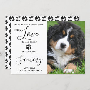 Anúncio de Puppy Love New Pet Dog