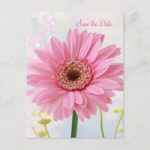 Anúncio de salvar a data - Gerbera rosa