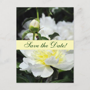 Anúncio de Salve o Dia das Peônias Japonesas