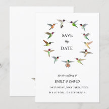 Anúncio de Save the Date de Casamento com Beija-fl