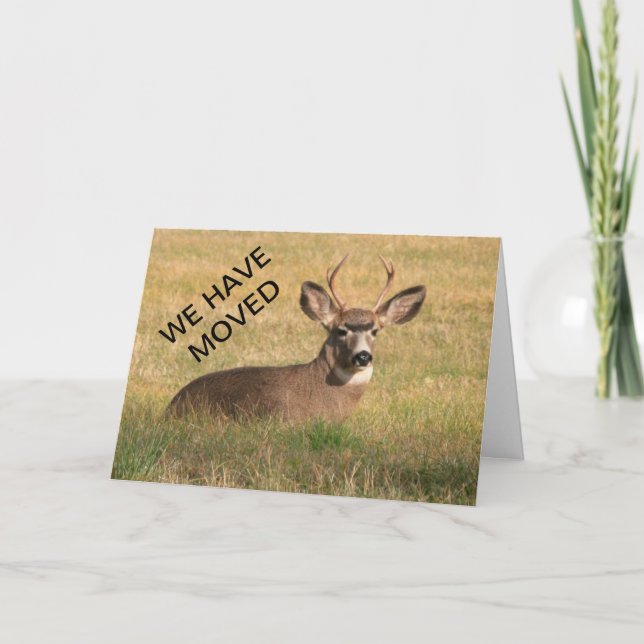 Anúncio Deer We Have Moved Card (Frente)