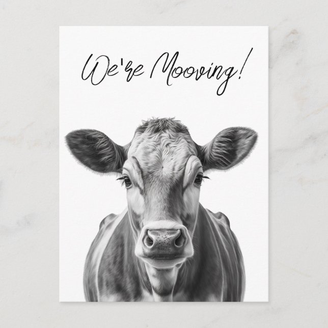 Anúncio Divertido de Mudança da Vaca  (Frente)