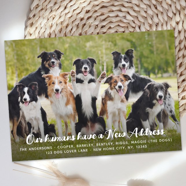 Anúncio Divertido Moderno Novo Endereço Personalizado Foto (Criador carregado)