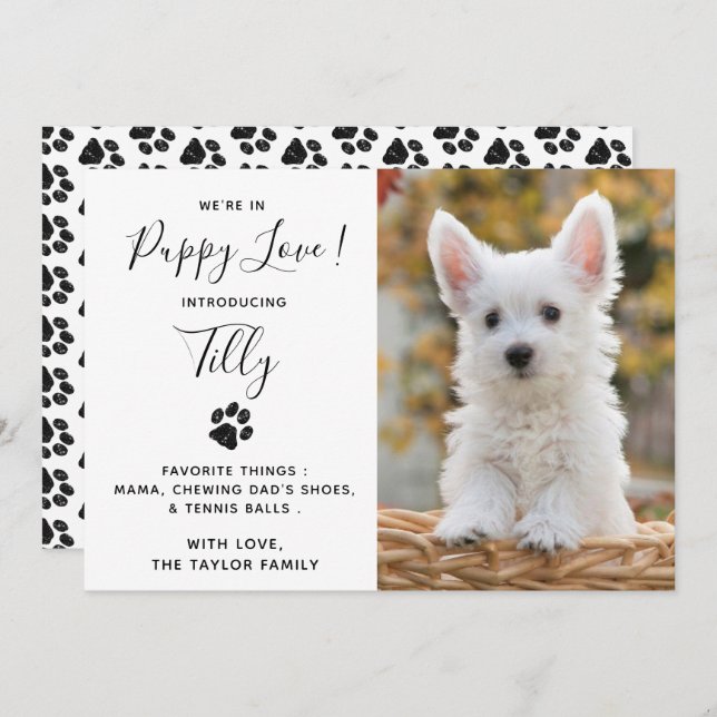 Anúncio do Cachorro Pet Puppy (Frente/Verso)