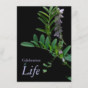 Anúncio do Funeral de Celebração da Vida no Ind