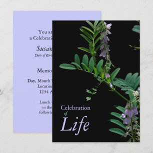 Anúncio do Funeral de Celebração da Vida no Ind