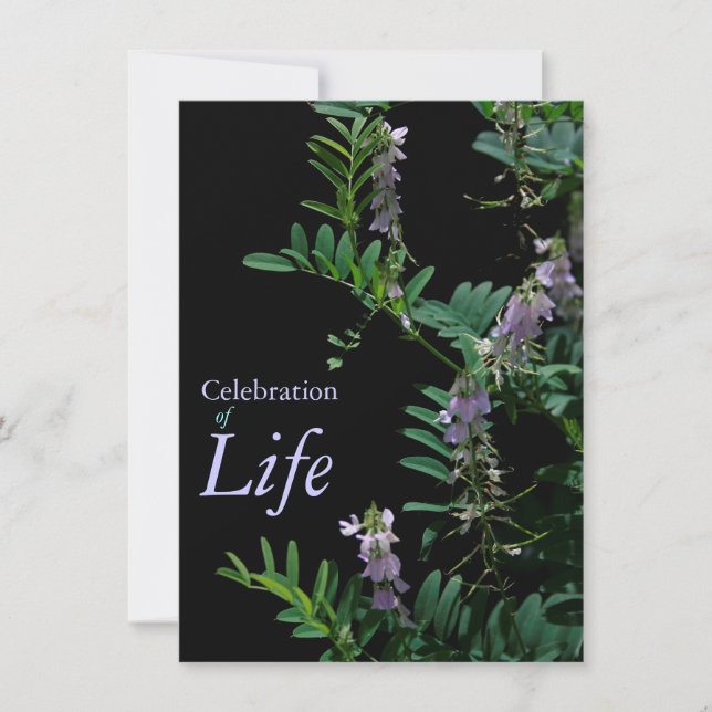 Anúncio do Funeral de Celebração do Indigo 3 (Frente)