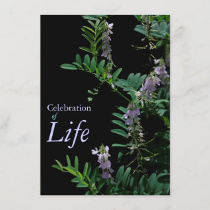 Anúncio do Funeral de Celebração do Indigo 3