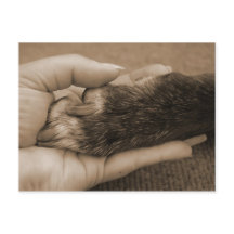 Anúncio do membro da família novo