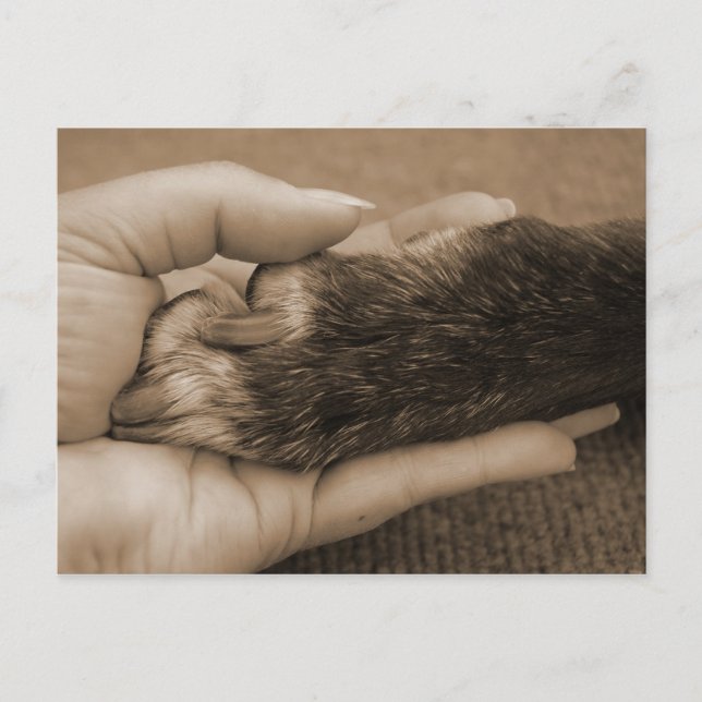 Anúncio do membro da família novo (Frente)