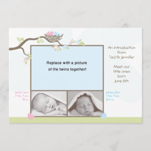 Anúncio do nascimento dos gêmeos - bebé & menina