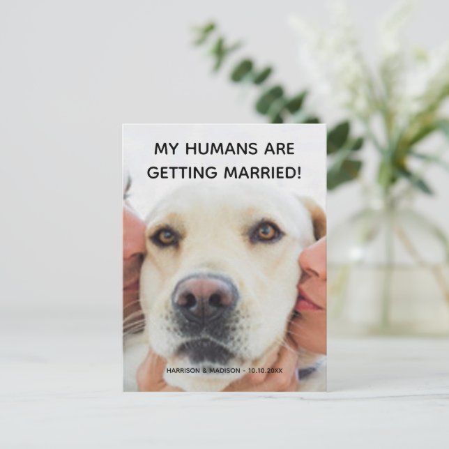 Anúncio do noivado Cartão postal Personalizado par (Em pé/Frente)