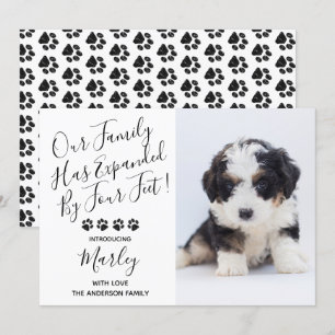 Anúncio do Novo Cachorro Pet