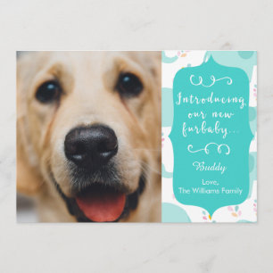 Anúncio do Novo Furbaby Azul