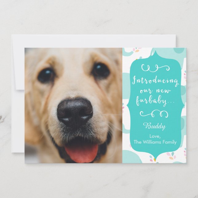 Anúncio do Novo Furbaby Azul (Frente)