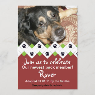 Anúncio do partido da adopção do cão/filhote d