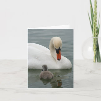 Anúncio do Swan Baby