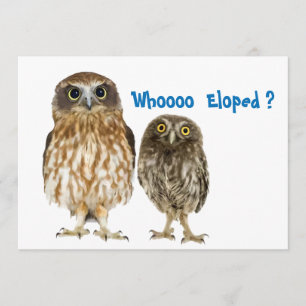Anúncio Duo da coruja que Eloped