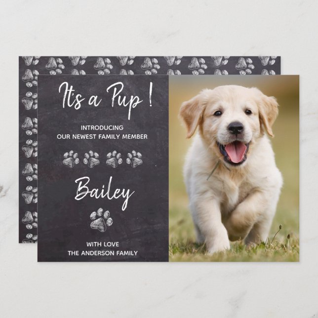 Anúncio É um Cachorro Puppy Novo Pet (Frente/Verso)