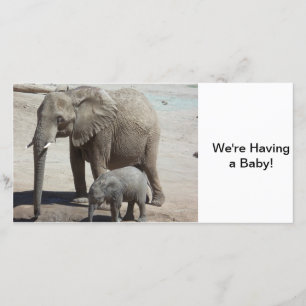 Anúncio Elefante bebê com Mamãe