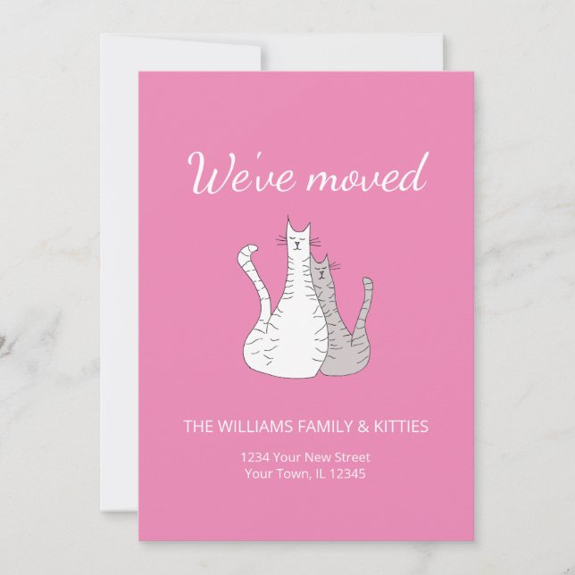 Anúncio Elegante Movimentamos Gatos Movendo-se Bonitos Ros (Frente)