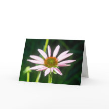 Enviando Esperanças para Recuperação