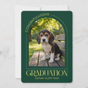 Anúncio Escola de Treinamento de Cães Foto de Pet Graduaçã