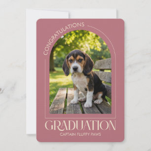 Anúncio Escola de Treinamento de Cães FOTOS DE GRADUAÇÃO D