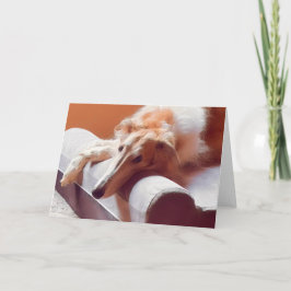 Anúncio Esse Rosto de Borzoi