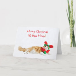 Anúncio Feliz Natal de Gato Engraçado Movendo Novo Endereç