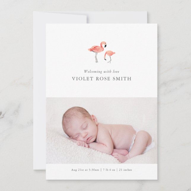 Anúncio Flamingo Birth (Frente)