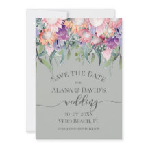 Flores de Proteína Exótica de Cor Brilhante Salvem