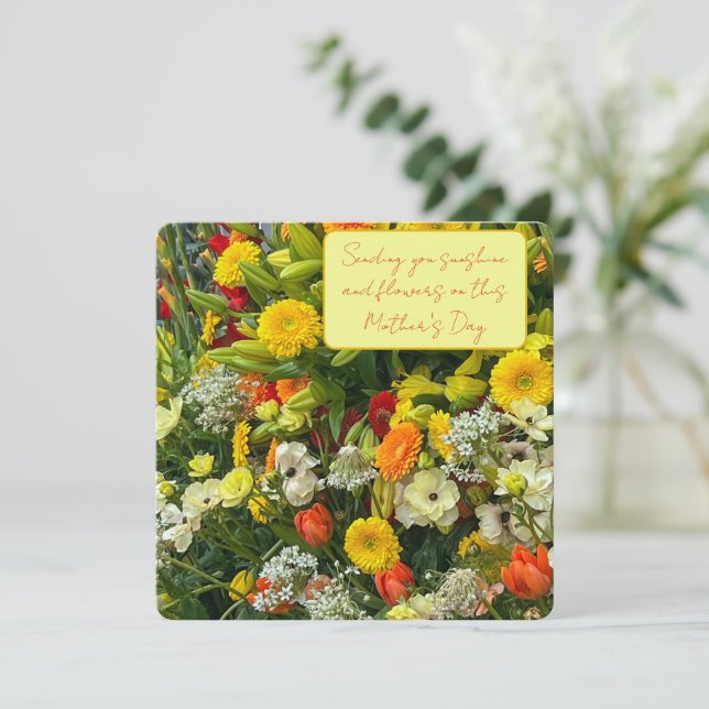 Anúncio flores dias de as mães (Em pé/Frente)