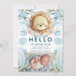 Anúncio Foto do Príncipe Lion Illustração