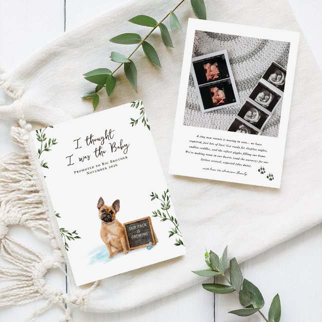 Anúncio French Bulldog Dog Pregnancy Announcement (Criador carregado)