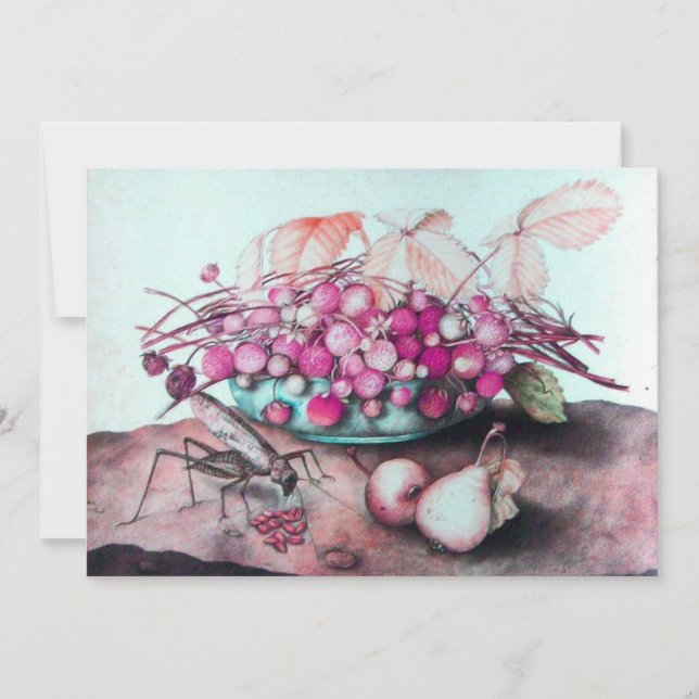 ANÚNCIO FRUTAS/MALHAS E PERAS DA SEASON (Frente)