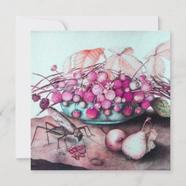 Anúncio FRUTAS/PEDRAS DE ESTASON, PEDRAS, cor-de-rosa pret (Frente)