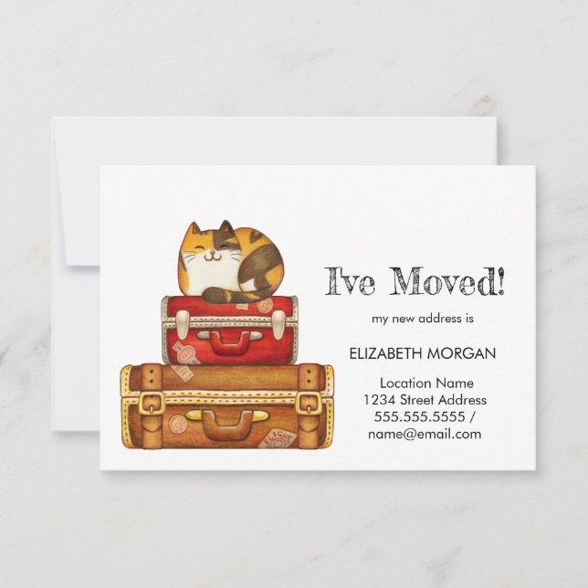 Anúncio Gato em Suitcases que eu mudei (Frente)