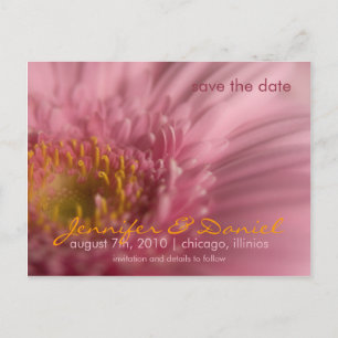 Anúncio Gerbera Rosa • Cartão Postal de Save the Date