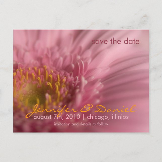 Anúncio Gerbera Rosa • Cartão Postal de Save the Date (Frente)